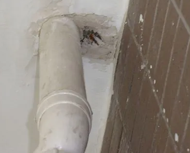 垣曲漏水检测哪家好